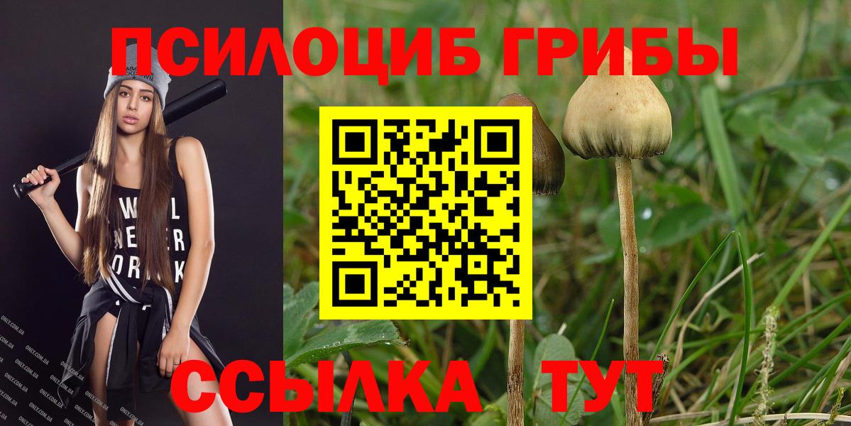 Галлюциногенные грибы GOLDEN TEACHER  Вход с VPN  сколько стоит  Югорск 